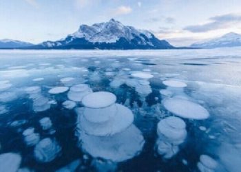 تراكم ثلج البحر في أنتاركتيكا يهدد الأرض بعصر جليدي آخر 1