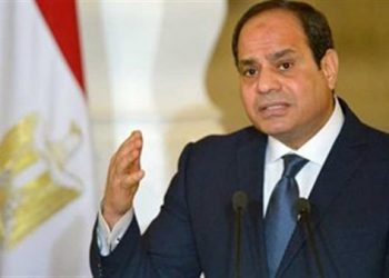 6.8  مليار دولار إجمالي الاستثمارات الإماراتية في مصر 1