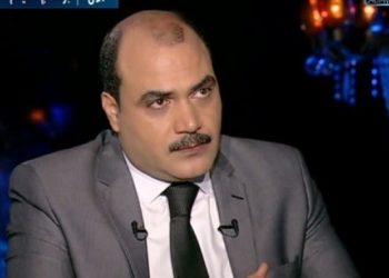 الباز عن مبادرة "طنطاوي": المعارضة في مصر محنطة 1