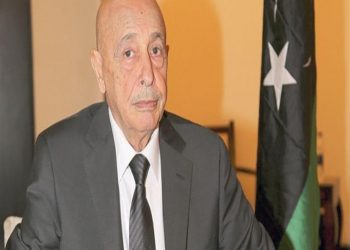 مستشار النواب الليبي: سنسحب الثقة من حكومة الوفاق الغير شرعية 3