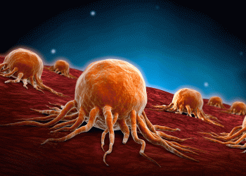تطوير بكتيريا "مبرمجة" قادرة على تدمير الخلايا السرطانية 2