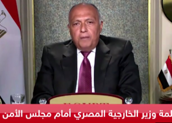 بالفيديو.. تفاصيل كلمة وزير الخارجية أمام مجلس الأمن بشأن سد النهضة 6