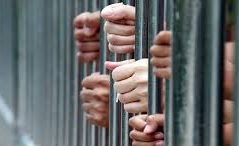 حبس المتهمين بحيازة مواد مخدرة بمدينة نصر 2