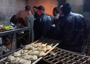 ضبط مدير مخبز استولى على أموال دعم بالقاهرة 9