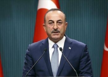 وزير خارجية تركيا: نرفض تماما قرار الولايات المتحدة الاعتراف بالإبادة الجماعية للأرمن 1
