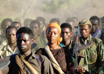 الأتحاد الأفريقي الحرب في إثيوبيا