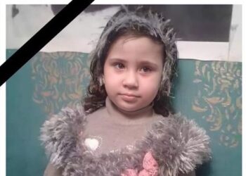عاجل| جنايات المنصورة تُقضي بإعدام قاتل الطفلة ريماس بالدقهلية 1
