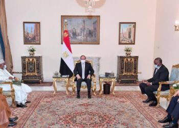 السيسي يؤكد دعم مصر لمهمة الأمين العام لمنظمة التعاون الاسلامي 10