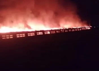 حريق هائل يلتهم مزرعة دواجن بالغربية 13