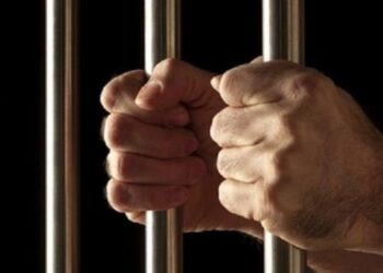 النيابة: حبس اشهر ديلر لبيع مخدرات في الجيزة 4
