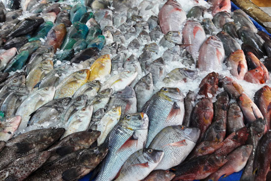 أسعار السمك اليوم السبت 18 مايو 2024 في الأسواق 1