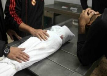 التصريح بدفن طفل مجهول الهوية صدمته سيارة في الوراق بالجيزة 7