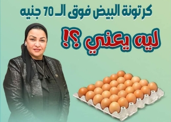محدش يقولي الحرب.. نائبة سوهاج تتحدث عن ارتفاع سعر كرتونة البيض
