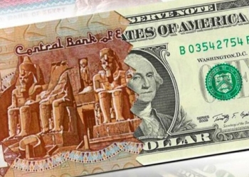 سعر الدولار اليوم في البنوك العاملة في مصر .. الأخضر يترقب