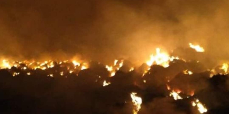 اندلاع حريق في مجمع لمحصول البصل وقش الأرز بالدقهلية 1