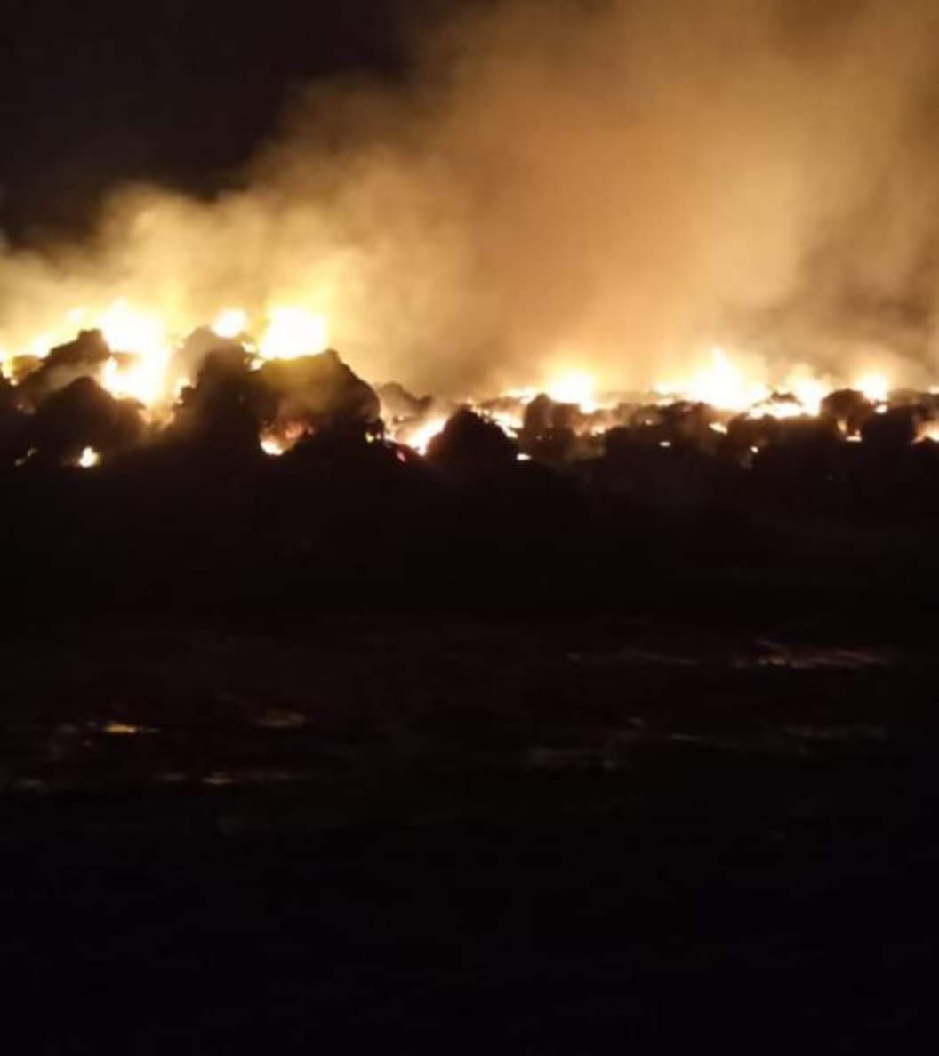 اندلاع حريق في مجمع لمحصول البصل وقش الأرز بالدقهلية 2