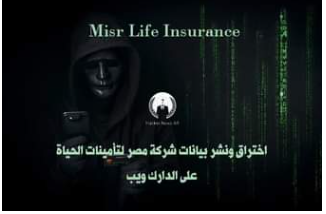 اختراق ونشر بيانات شركة مصر لتأمينات الحياة - الدارك ويب