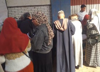 إقبال مواطنين كوم حمادة بالبحيرة للتصويت في الانتخابات الرئاسية 1