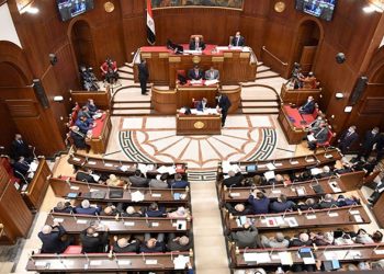 مجلس الشيوخ : مصر ترفض اقتحام رفح وتسعى لتحقيق هدنة جديدة في قطاع غزة 1