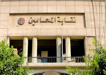 واقعة كارنية جمعية الفراخ.. أول تعليق من نقابة المحامين على ازمة القاضي والمحامي