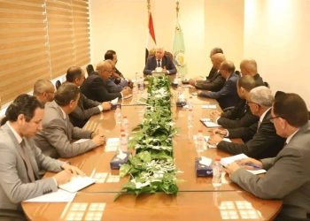 وزير الزراعة يبحث مع المدير التنفيذي لجهاز مستقبل مصر تنسيق التعاون لتحقيق رؤية الدولة الاستراتيجية 4