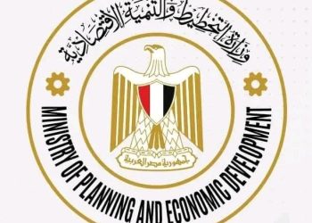 التخطيط : 4 مليار جنيه لتنفيذ 323 مشروعًا تنمويًا بمحافظة كفر الشيخ 2