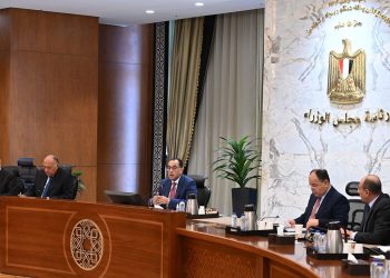 رئيس الوزراء يترأس اجتماع اللجنة المعنية بتعزيز العلاقات المصرية الأفريقية 1