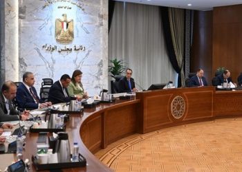 الحكومة: 5130 مشروعا تم تنفيذها ببرنامح التنمية المحلية بصعيد مصر