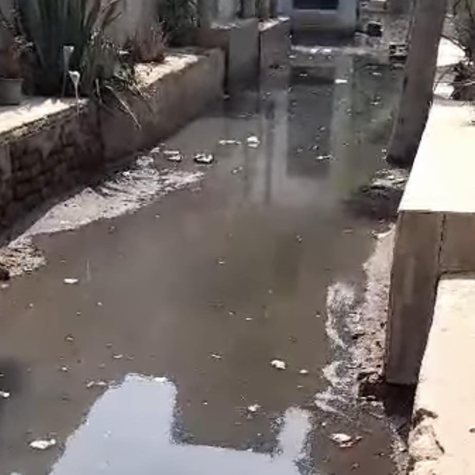 مياه الصرف الصحي تغرق ضريح الشيخ الشعراوي ومقابر الدقهلية تعوم في المياه 2