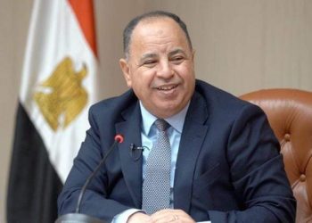 المالية: 2 مليار دولار إيرادات متوقعة لمبادرة «سيارات المصريين بالخارج» 6