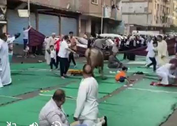 بالفيديو.. اقتحام عجل صلاة العيد على المصليين     3