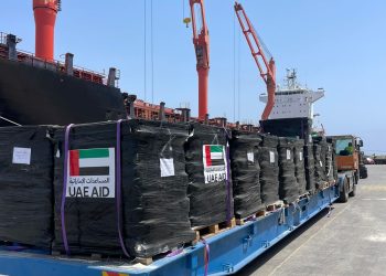 سفينة إماراتية جديدة تحمل 1166 طن مساعدات إلى أهالي غزة  7