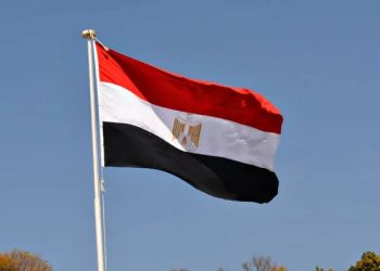 مصر ترحب بقرار مجلس الأمن لوقف إطلاق النار في غزة 1