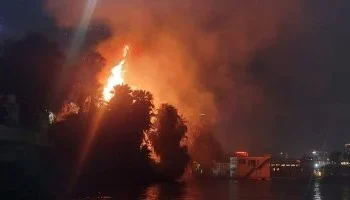 نشوب حريق هائل في مجموعة من الأشجار على كورنيش النيل بالدقي 1