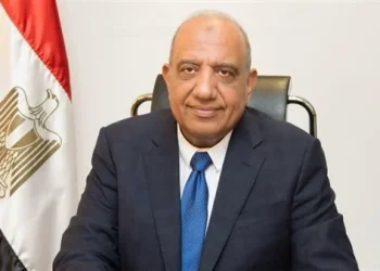 محمود عصمت وزير الكهرباء