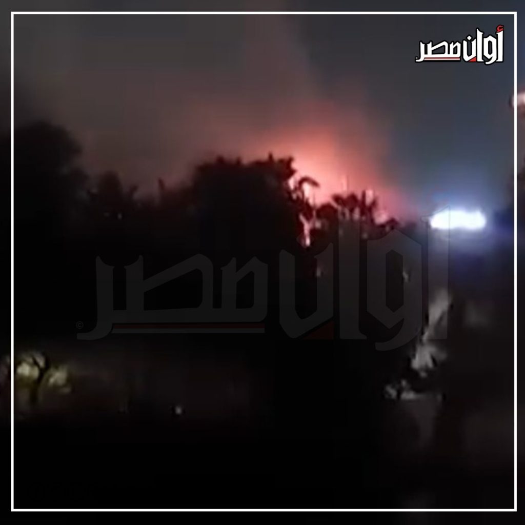 ننشر الصور الأولى من حريق هائل في مجموعة من الأشجار على كورنيش النيل بالدقي 2