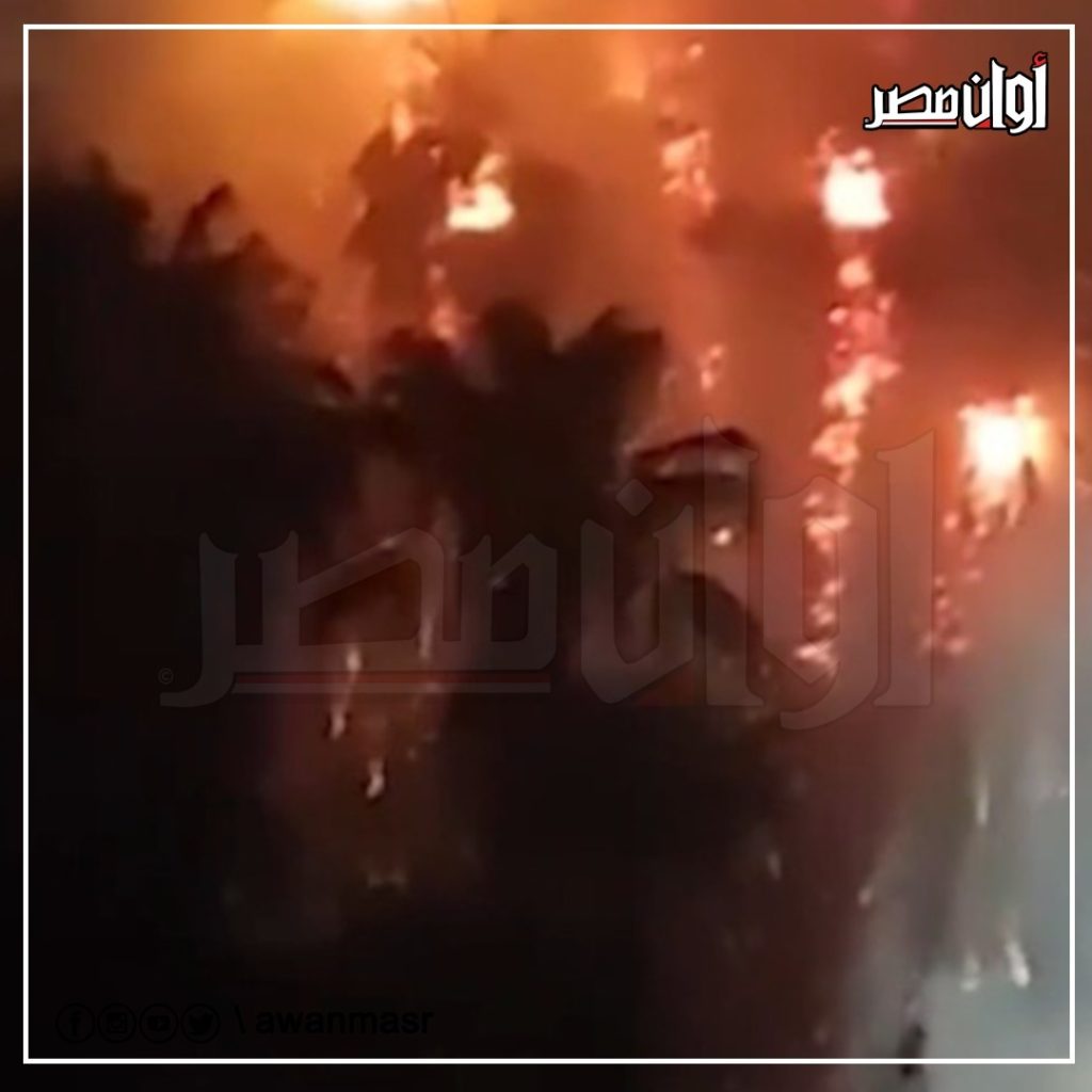ننشر الصور الأولى من حريق هائل في مجموعة من الأشجار على كورنيش النيل بالدقي 3